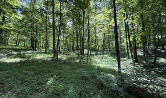 Lot 20 Newpointe Subdivision, Albany, KY 42602