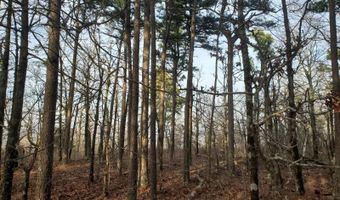 Tract 5 K-Trail, Albion, OK 74571