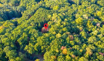 7380 Leonard St NE, Ada, MI 49301