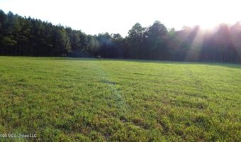 500 Cr 247 Country Rd, Bruce, MS 38915