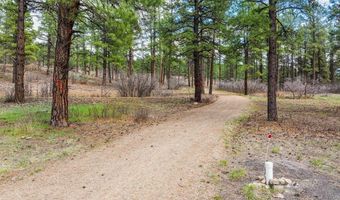20861 Hwy 160, Bayfield, CO 81122