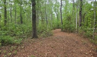4814 NW 244 Ave, Alachua, FL 32615