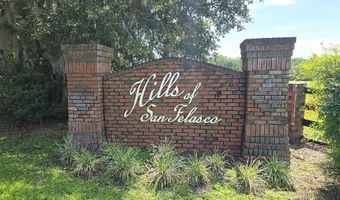 10333 NW 132ND Dr, Alachua, FL 32615