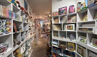 635 E Cooper Ave, Aspen, CO 81611