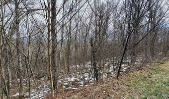 Chappell Farms N lot 6, Banner Elk, NC 28604