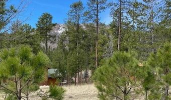 000 COUNTY ROAD 2193, Alpine, AZ 85920