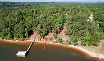 171 Lakeview Ter, Abbeville, AL 36310