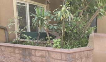 917 S New Hampshire Ave 301, Los Angeles, CA 90006