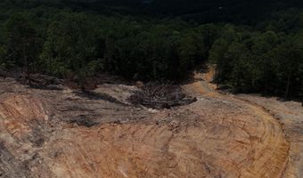 1250 Welcome Valley Rd, Benton, TN 37307