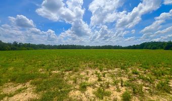 0 N County Rd. 75, Ashford, AL 36312