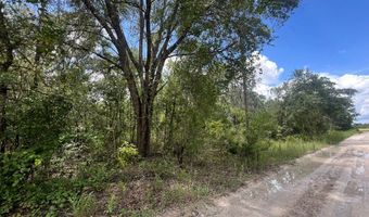 Lot 11 11th Ave, Bell, FL 32619