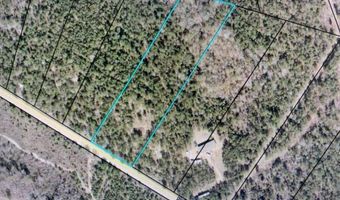 Pollett Road lot 29, Bartow, GA 30413