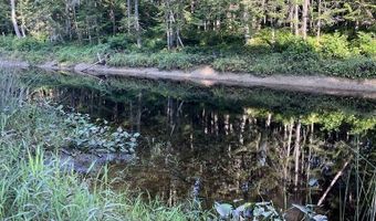 Cummings Lane, Acton, ME 04468