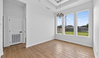 1307 S 9th St, Alamo, TX 78516