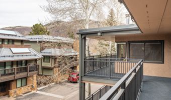 700 S Monarch St 207, Aspen, CO 81611