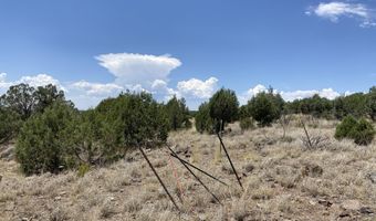 1740 W Louise Ln, Ash Fork, AZ 86320