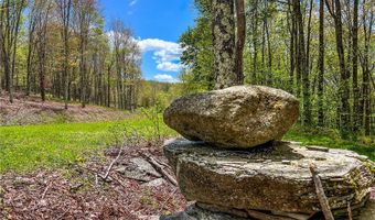 State Route 28 lot # 10, Andes, NY 13731