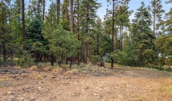 6 Co Rd 2074, Alpine, AZ 85920