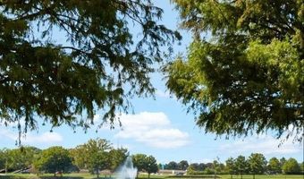 1608 Helmoken Falls Dr, Anna, TX 75409