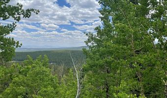 847 COUNTY ROAD 787, Alma, CO 80420