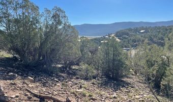 440 Run Around Rd, Arboles, CO 81121