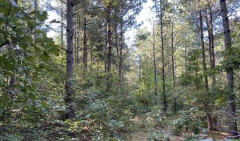 Highway 58, Baskerville, VA 23915