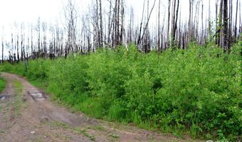 2025 Granite Rd, Bellvue, CO 80512