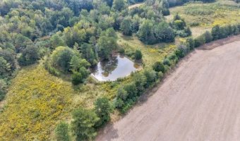 12345678 County Road 208, Abbeville, MS 38601
