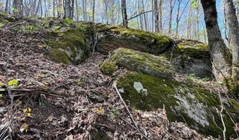 62 Acres Buckeye Ridge Rd, Beech Mountain, NC 28604