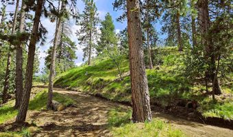 Lot 25 Pine Ridge Road, Boise, ID 83716