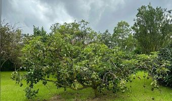 15-1912 28TH Ave, Keaau, HI 96749