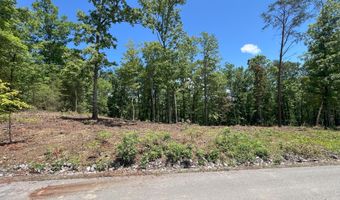 Lot 44 Bayside Boulevard, Bean Station, TN 37708