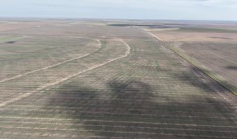 364 14 Acres Pullman Rd, Amarillo, TX 79118