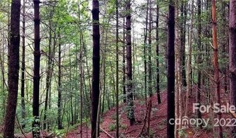 4 6 Acres On Narrow Gauge Dr 15, Collettsville, NC 28611