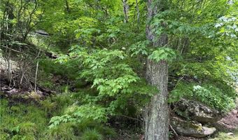 Tbd Wakeman Way, Banner Elk, NC 28604