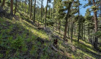 Vail Loop lot 400, Angel Fire, NM 87710