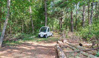 224 Coxe Rd E, Blenheim, SC 29516