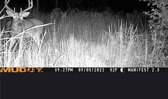 Off Hwy F, Annapolis, MO 63620