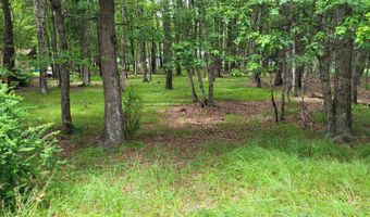 203 Foothill Rd, Albrightsville, PA 18210