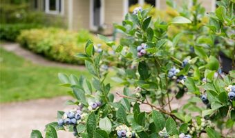 75 Cisco Rd, Asheville, NC 28805
