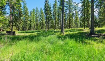 500 Wild Swan Trl, Bigfork, MT 59911