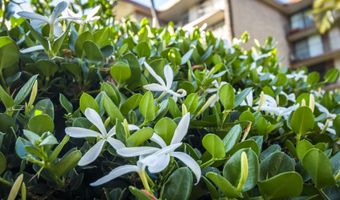 938 S Kihei Rd 301, Kihei, HI 96753