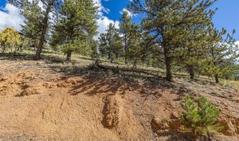 103 Gross Rd, Bailey, CO 80421