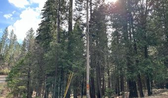 1968 Flamingo Way, Arnold, CA 95223