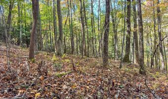 345 Christa Ln, Arden, NC 28704
