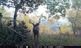 Simons Rd, Alma, WI 54610