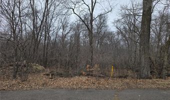 L2 B2 288th Avenue NW, Baldwin Twp., MN 55398