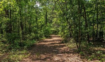 4814 NW 244 Ave, Alachua, FL 32615