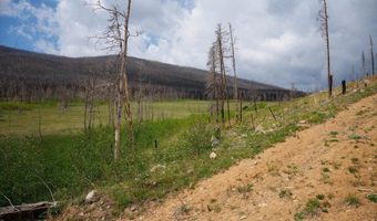 30 Sheep Horn Ct, Bellvue, CO 80512