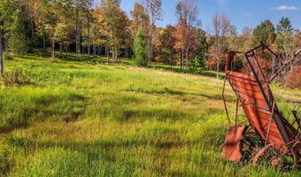 Woodland Hills Road, Andes, NY 13731